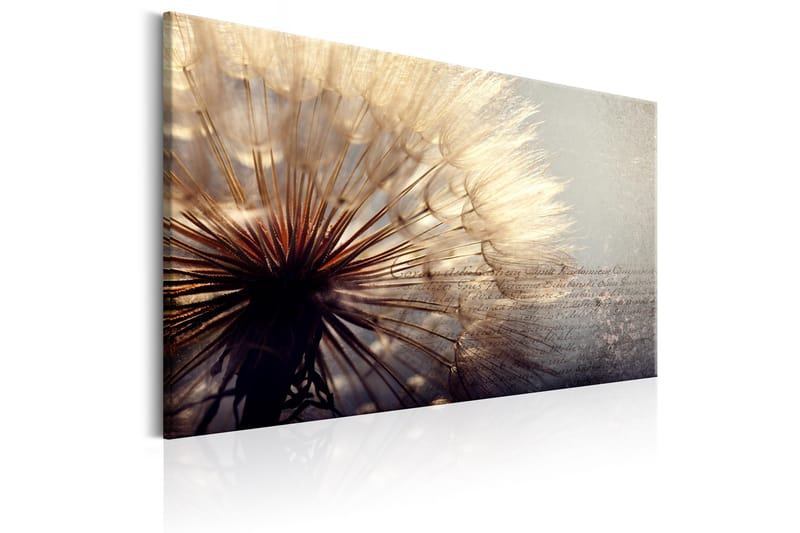 Tavle Gentleness Of Summer 120X80 - Artgeist sp. z o. o. - Innredning - Bilder & kunst - Lerretsbilder