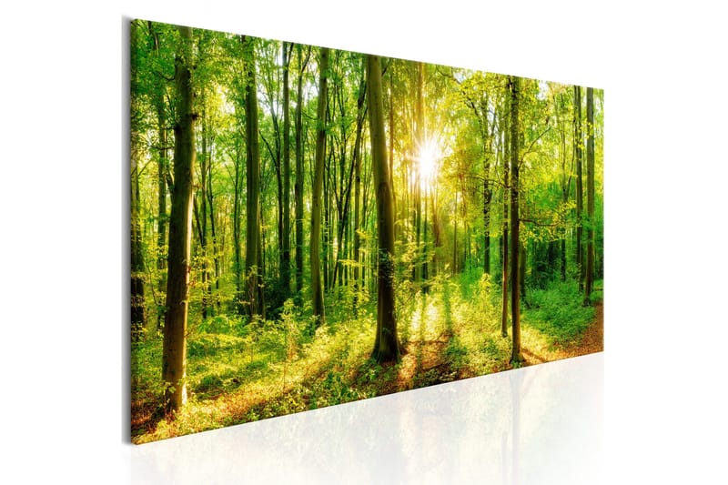 Tavle Green Magic 120X40, Artgeist sp. z o. o.