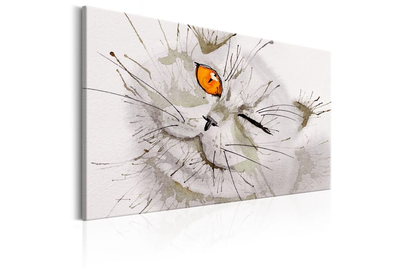 Tavle Grey Cat 120X80 - Artgeist sp. z o. o. - Innredning - Bilder & kunst - Lerretsbilder