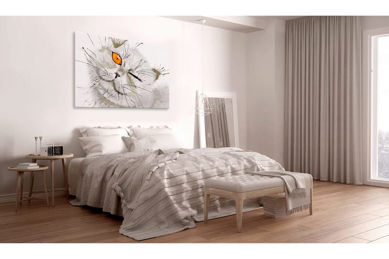 Tavle Grey Cat 90X60, Artgeist sp. z o. o.