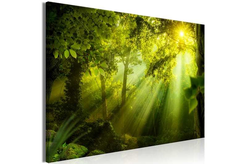 Tavle In The Sunshine (1 Part) Wide 120X80 - Artgeist sp. z o. o. - Innredning - Bilder & kunst - Lerretsbilder