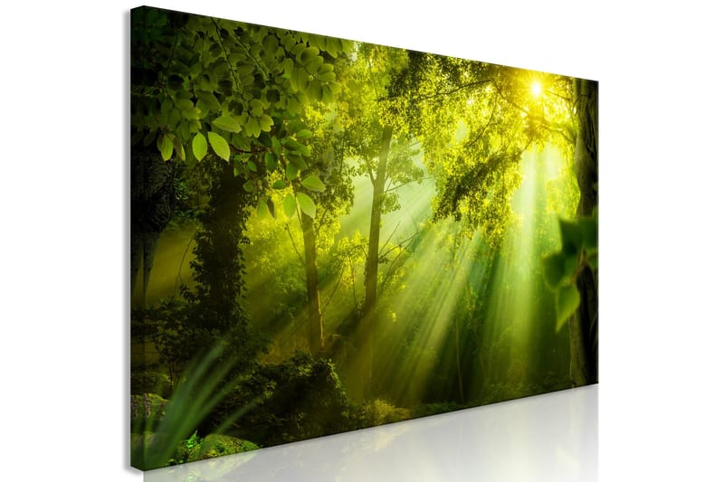 Tavle In The Sunshine (1 Part) Narrow 150X50 - Artgeist sp. z o. o. - Innredning - Bilder & kunst - Lerretsbilder