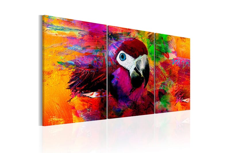 Tavle Jungle Of Colours 60X30 - Artgeist sp. z o. o. - Innredning - Bilder & kunst - Lerretsbilder