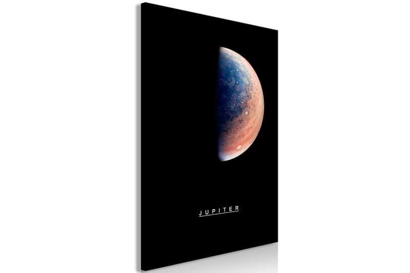 Tavle Jupiter (1 Part) Vertical 40X60 - Artgeist sp. z o. o. - Innredning - Bilder & kunst - Lerretsbilder