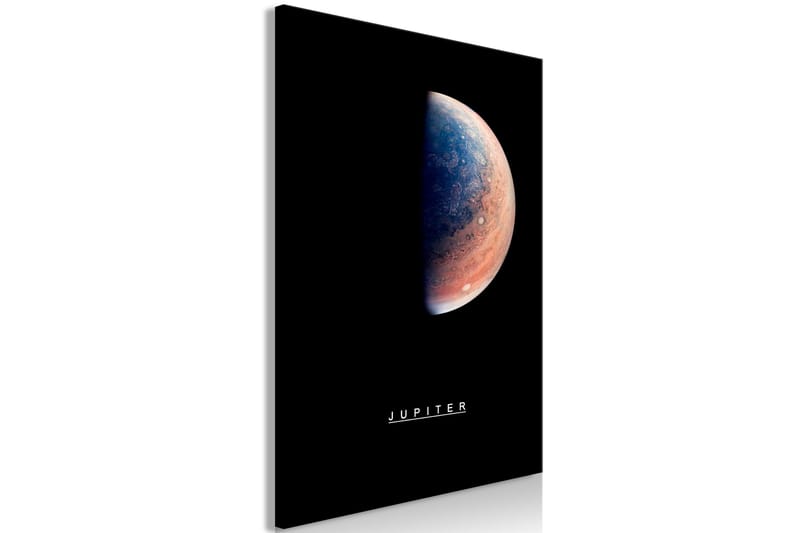 Tavle Jupiter (1 Part) Vertical 40X60 - Artgeist sp. z o. o. - Innredning - Bilder & kunst - Lerretsbilder