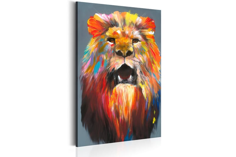Tavle King Of Colours 60X90 - Artgeist sp. z o. o. - Innredning - Bilder & kunst - Lerretsbilder