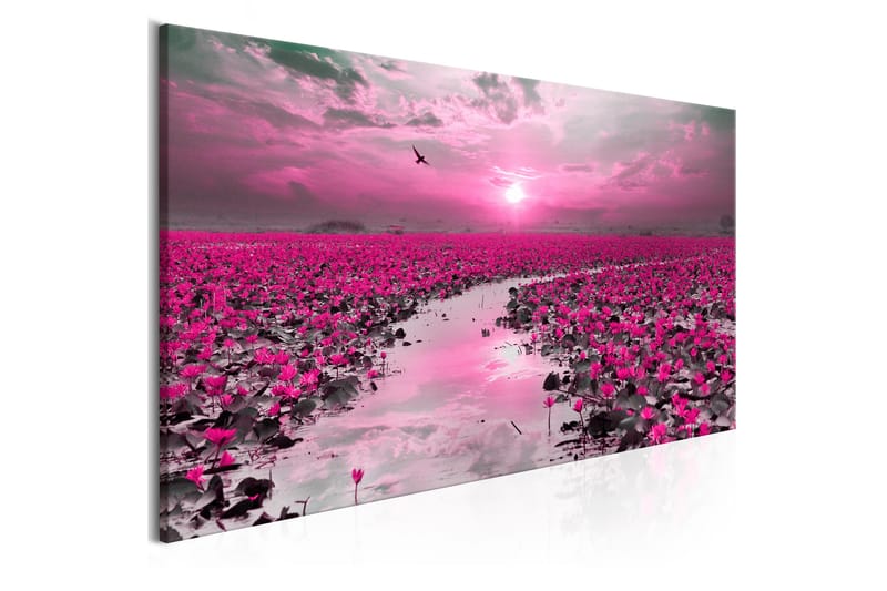 Tavle Lilies And Sunset (1 Part) Narrow 135X45 - Artgeist sp. z o. o. - Innredning - Bilder & kunst - Lerretsbilder