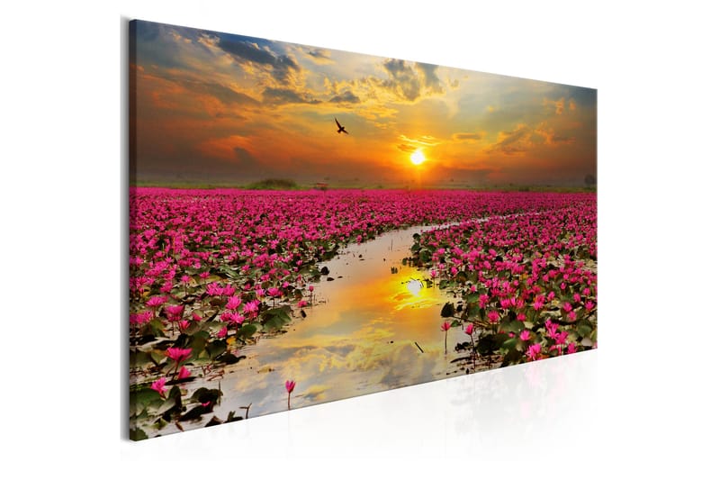Tavle Lily Field (1 Part) Narrow 135X45 - Artgeist sp. z o. o. - Innredning - Bilder & kunst - Lerretsbilder