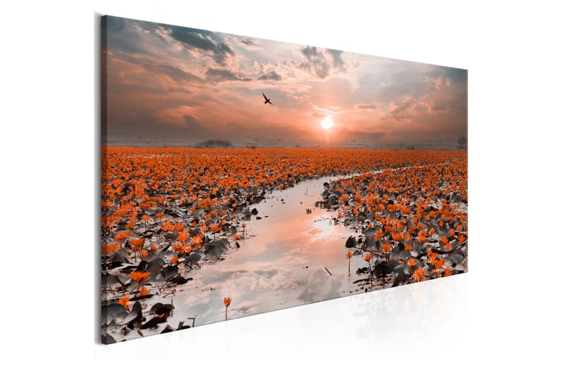 Tavle Lily Pathway (1 Part) Narrow 135X45 - Artgeist sp. z o. o. - Innredning - Bilder & kunst - Lerretsbilder