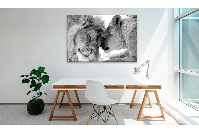 Tavle Lion'S Love 60X40, Artgeist sp. z o. o.