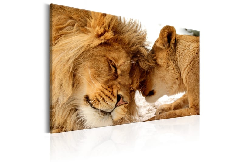Tavle Love'S Secret 120X80 - Artgeist sp. z o. o. - Innredning - Bilder & kunst - Lerretsbilder