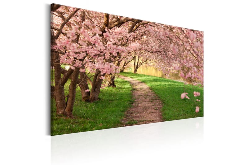 Tavle Lovers Path 60X40 - Artgeist sp. z o. o. - Innredning - Bilder & kunst - Lerretsbilder