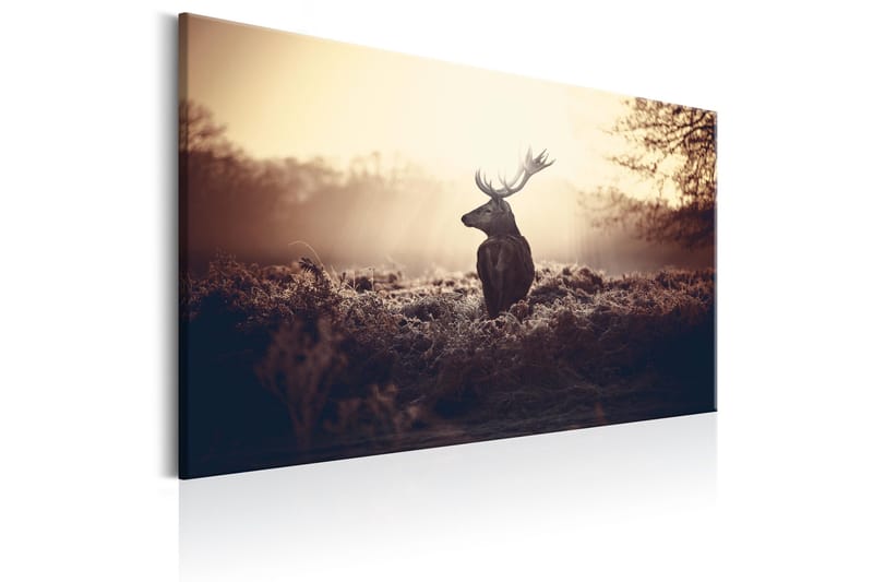 Tavle Lurking Deer 120X80 - Artgeist sp. z o. o. - Innredning - Bilder & kunst - Lerretsbilder