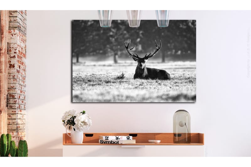 Tavle Lying Deer 120X80, Artgeist sp. z o. o.