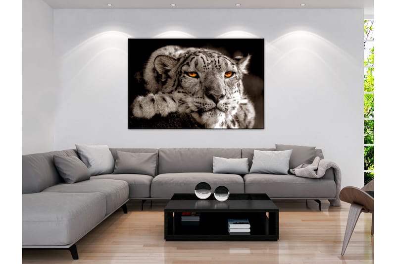Tavle Magic Eyes (1 Part) Wide 90X60, Artgeist sp. z o. o.
