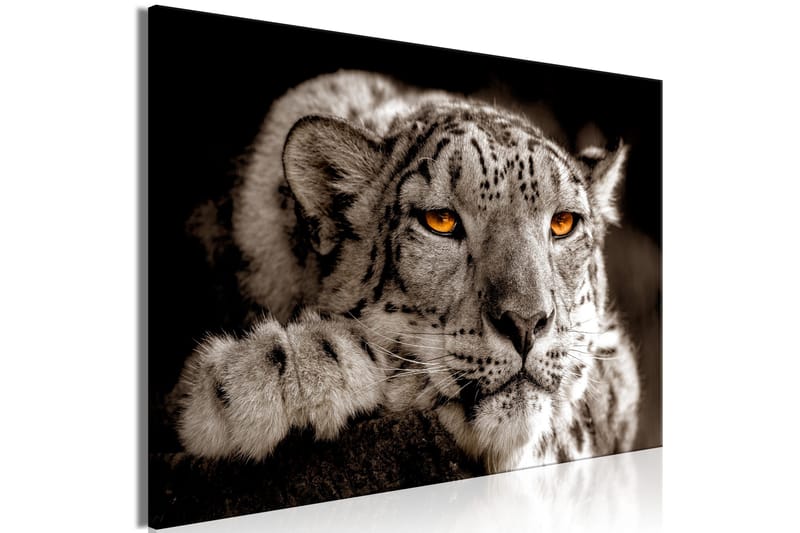 Tavle Magic Eyes (1 Part) Wide 90X60 - Artgeist sp. z o. o. - Innredning - Bilder & kunst - Lerretsbilder