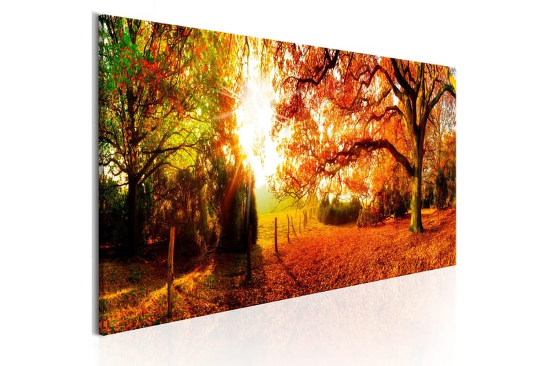 Tavle Magic Of Autumn 120X40, Artgeist sp. z o. o.