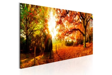 Tavle Magic Of Autumn 135X45