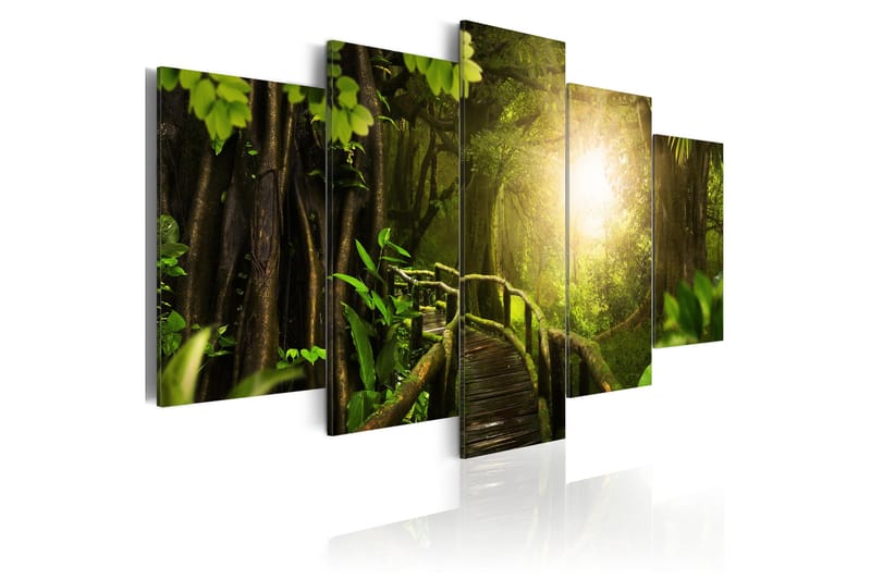 Tavle Magical Jungle 100X50 - Artgeist sp. z o. o. - Innredning - Bilder & kunst - Lerretsbilder