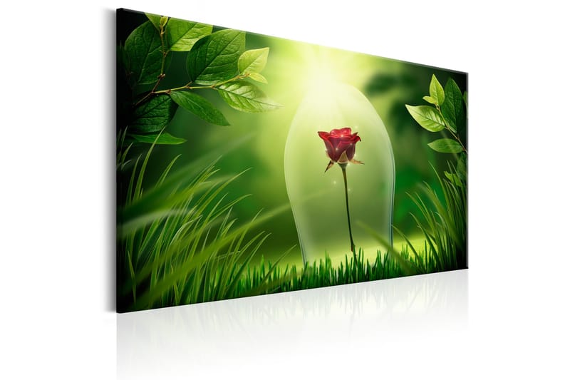 Tavle Magical Rose 90X60 - Artgeist sp. z o. o. - Innredning - Bilder & kunst - Lerretsbilder