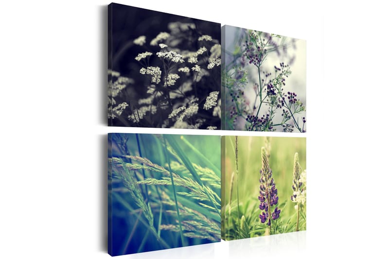 Tavle Magisk Felt 60X60 - Artgeist sp. z o. o. - Innredning - Bilder & kunst - Lerretsbilder
