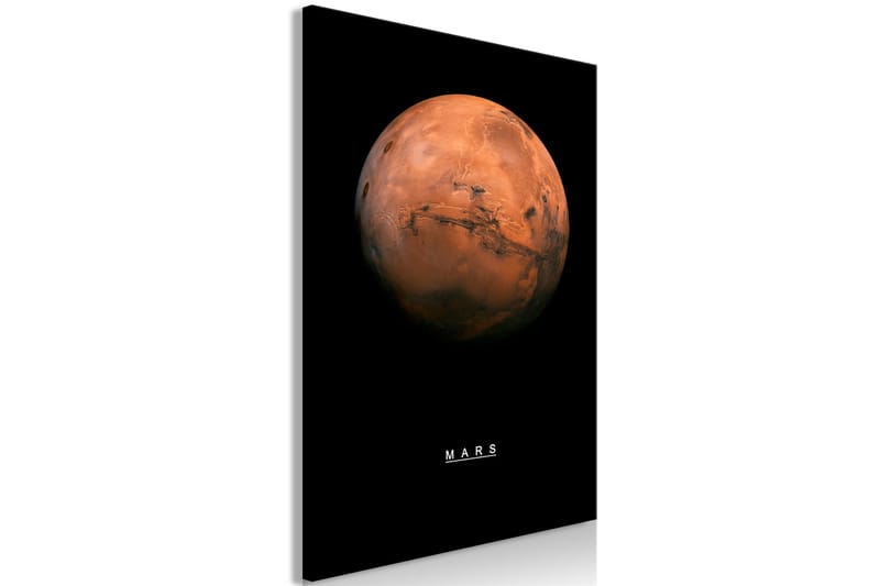 Tavle Mars (1 Part) Vertical 60X90 - Artgeist sp. z o. o. - Innredning - Bilder & kunst - Lerretsbilder