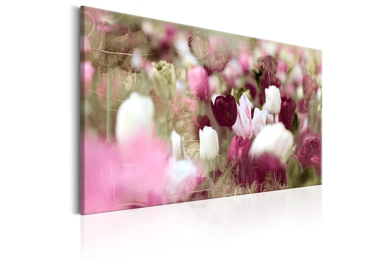 Tavle Meadow Of Tulips 120X80 - Artgeist sp. z o. o. - Innredning - Bilder & kunst - Lerretsbilder