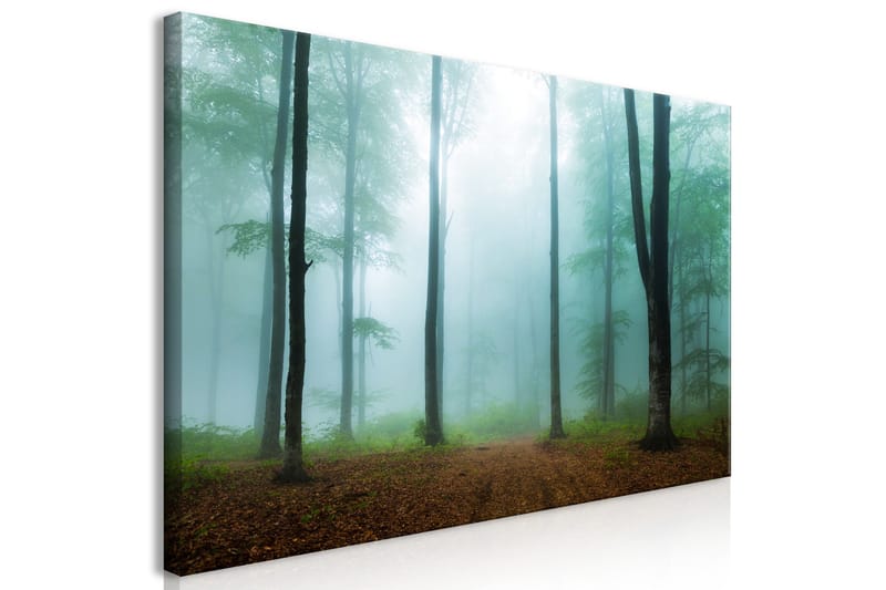 Tavle Misty Morning (1 Part) Wide 120X60 - Artgeist sp. z o. o. - Innredning - Bilder & kunst - Lerretsbilder