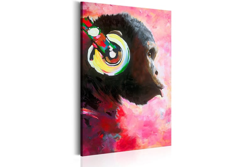 Tavle Monkey Music 60X90 - Artgeist sp. z o. o. - Innredning - Bilder & kunst - Lerretsbilder
