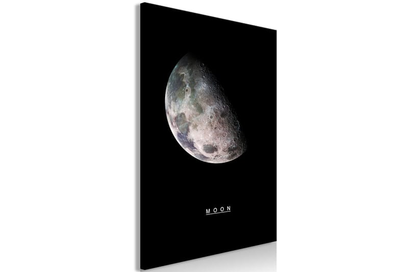 Tavle Moon (1 Part) Vertical 40X60 - Artgeist sp. z o. o. - Innredning - Bilder & kunst - Lerretsbilder