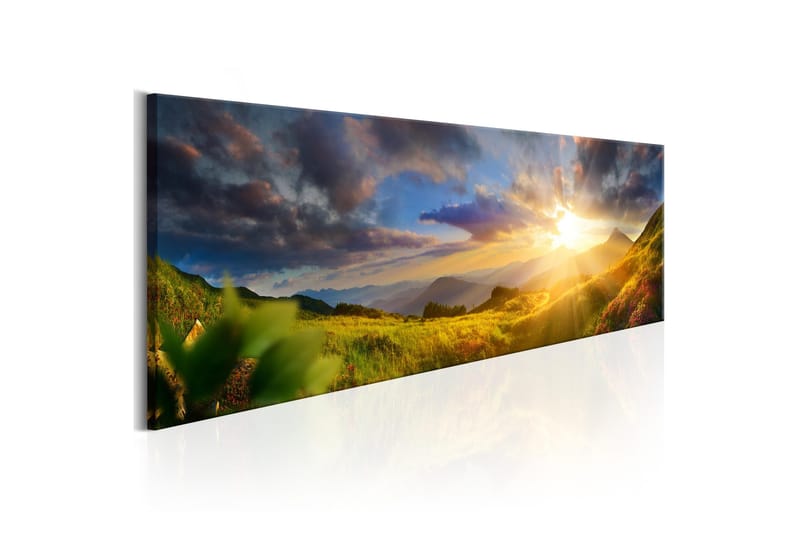 Tavle Morning Enchantment 135X45 - Artgeist sp. z o. o. - Innredning - Bilder & kunst - Lerretsbilder