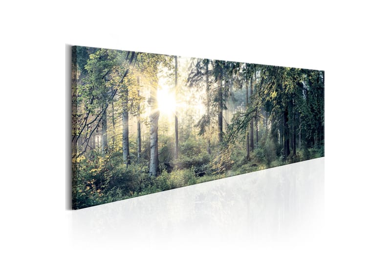 Tavle Morning Magic 135X45 - Artgeist sp. z o. o. - Innredning - Bilder & kunst - Lerretsbilder