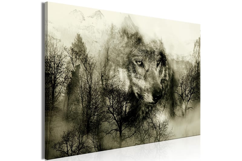Tavle Mountain Predator (1 Part) Wide Beige 120X80 - Artgeist sp. z o. o. - Innredning - Bilder & kunst - Lerretsbilder