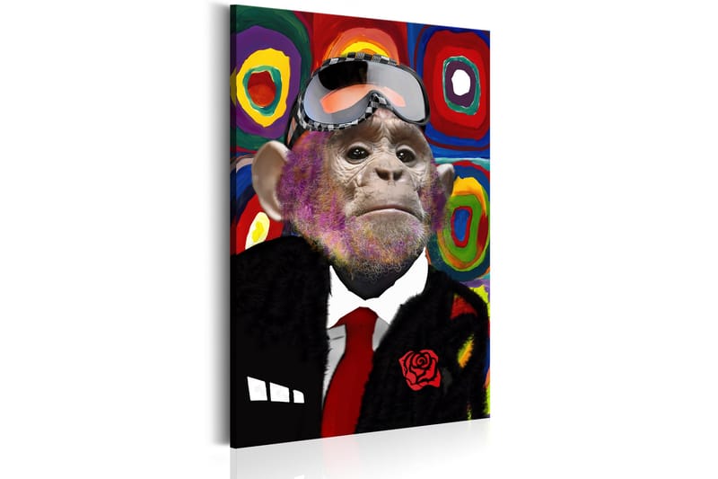 Tavle Mr. Monkey 80X120 - Artgeist sp. z o. o. - Innredning - Bilder & kunst - Lerretsbilder