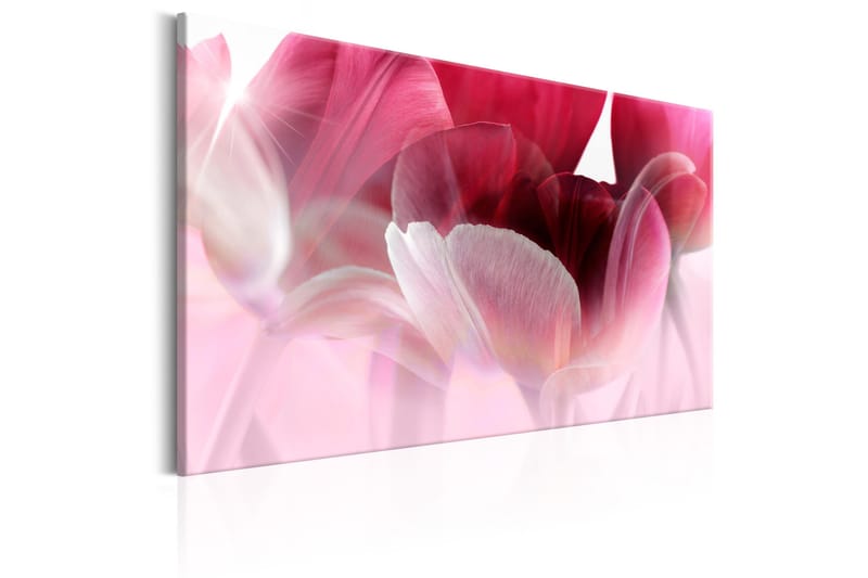 Tavle Nature: Pink Tulips 90X60 - Artgeist sp. z o. o. - Innredning - Bilder & kunst - Lerretsbilder