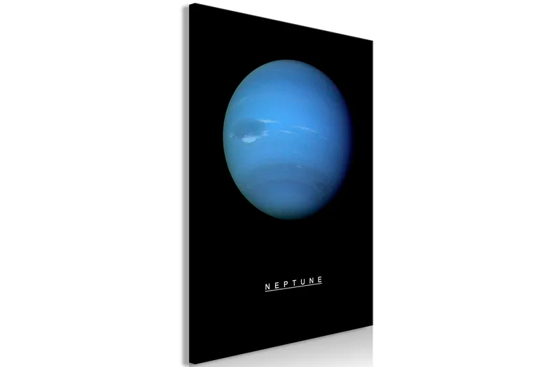 Tavle Neptune (1 Part) Vertical 40X60 - Artgeist sp. z o. o. - Innredning - Bilder & kunst - Lerretsbilder