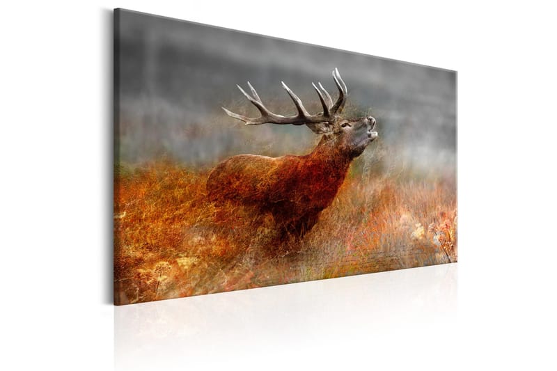 Tavle Roaring Deer 90X60 - Artgeist sp. z o. o. - Innredning - Bilder & kunst - Lerretsbilder