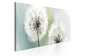 Tavle Romantic Summer 135X45