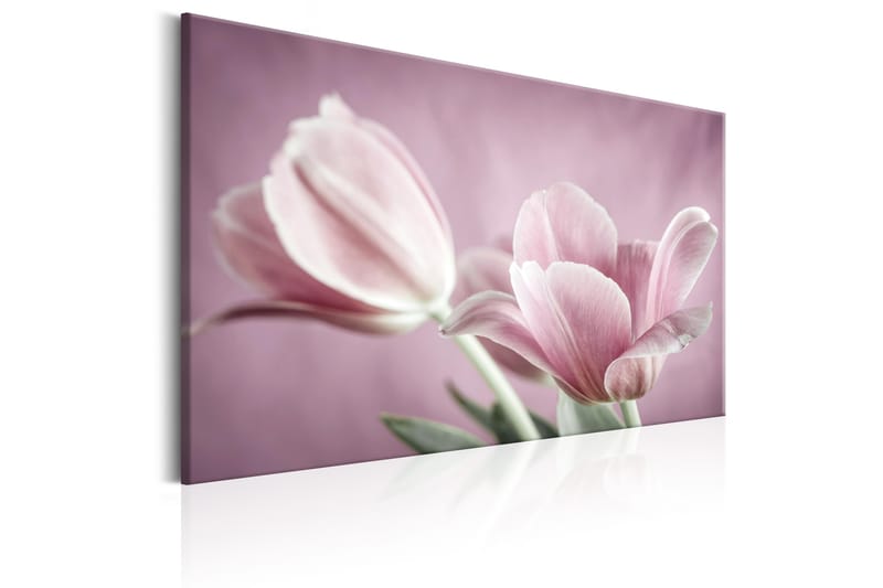 Tavle Romantic Tulips 90X60 - Artgeist sp. z o. o. - Innredning - Bilder & kunst - Lerretsbilder