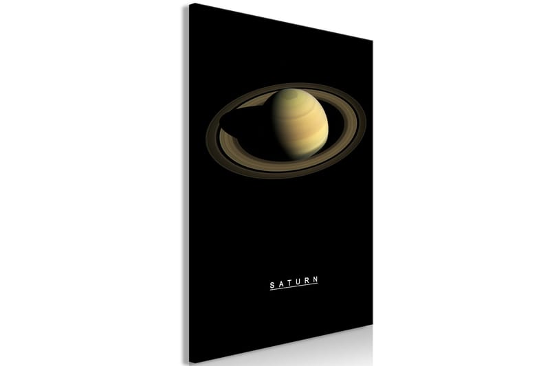 Tavle Saturn (1 Part) Vertical 60X90 - Artgeist sp. z o. o. - Innredning - Bilder & kunst - Lerretsbilder
