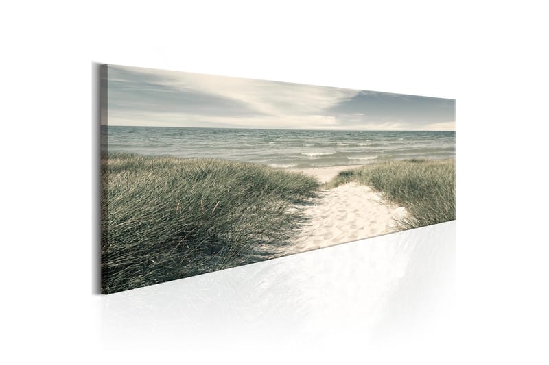 Tavle Secrets Of The Sea 135X45, Artgeist sp. z o. o.