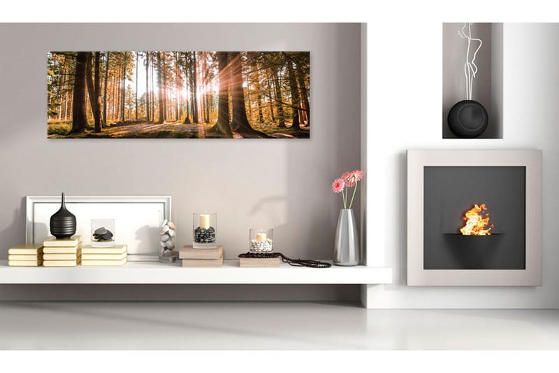 Tavle Small Natural Wonders 135X45 - Artgeist sp. z o. o. - Innredning - Bilder & kunst - Lerretsbilder