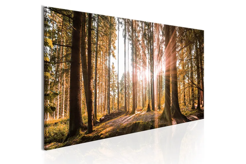 Tavle Small Natural Wonders 135X45, Artgeist sp. z o. o.