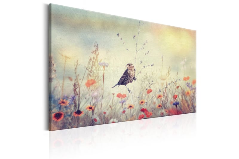 Tavle Spring Sonata 120X80 - Artgeist sp. z o. o. - Innredning - Bilder & kunst - Lerretsbilder