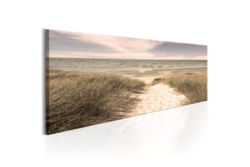 Tavle Summer Dream 120X40
