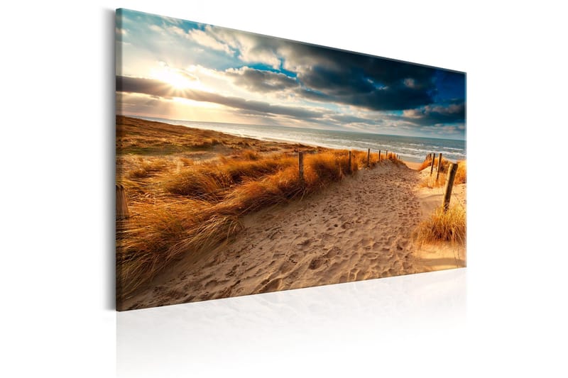 Tavle Summer Storm 60X40 - Artgeist sp. z o. o. - Innredning - Bilder & kunst - Lerretsbilder