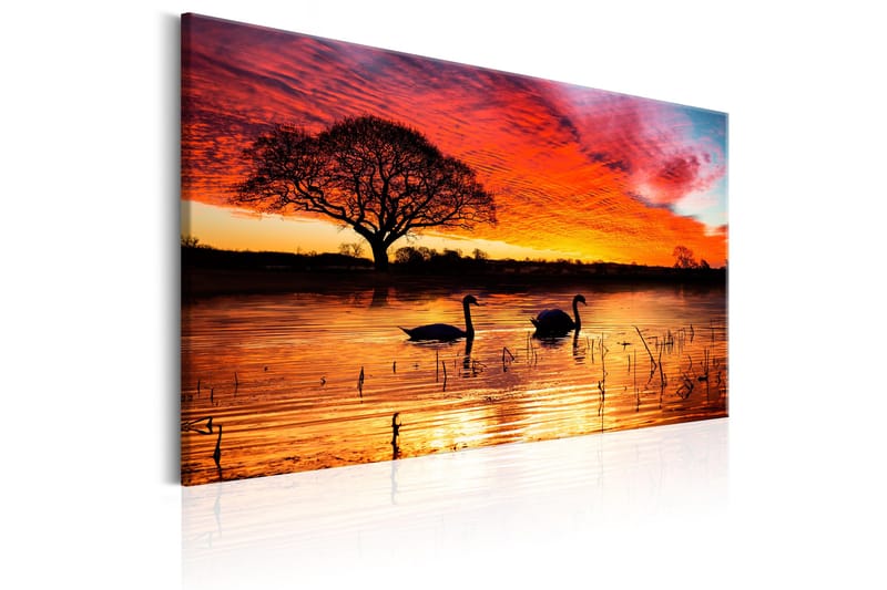 Tavle Swan Lake 120X80 - Artgeist sp. z o. o. - Innredning - Bilder & kunst - Lerretsbilder