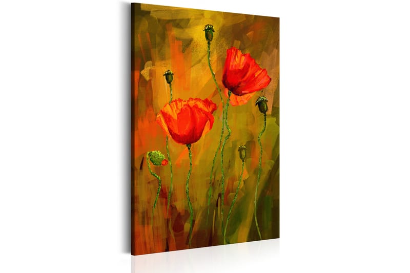 Tavle The Awakening Of Poppy 40X60 - Artgeist sp. z o. o. - Innredning - Bilder & kunst - Lerretsbilder