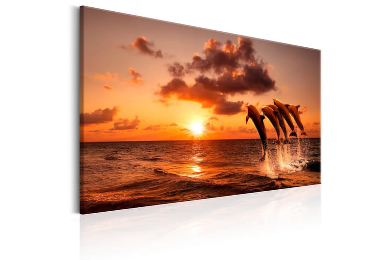 Tavle The Dolphin'S Dance 60X40 - Artgeist sp. z o. o. - Innredning - Bilder & kunst - Lerretsbilder