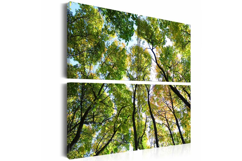 Tavle Treetops 60X60, Artgeist sp. z o. o.